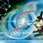 Illustration des CRISPR-Cas9-Proteinkomplexes, der DNA an einem Zielort schneidet und eine DNA-Spendersequenz für präzise Genomeditierung einfügt.